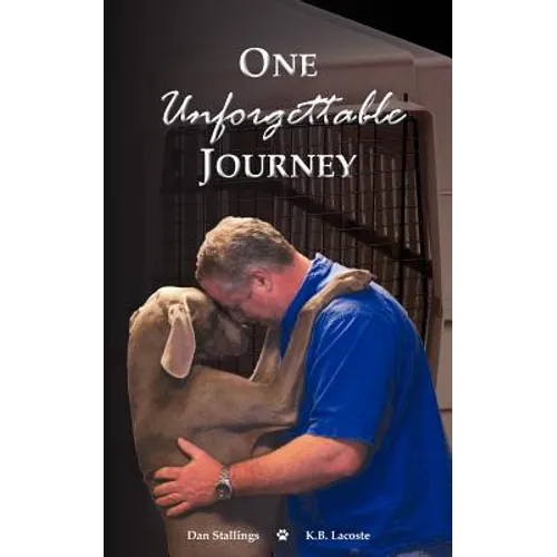 One Unforgettable Journey - Paperback