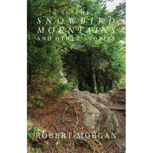 In the Snowbird Mountains and Other Stories - Paperback