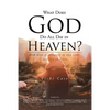 What Does God Do All Day In Heaven - Paperback
