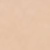Coconut Cream Foundation + Brush – Cream-to-Powder Clean Foundation Set