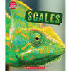 Scales (Learn About: Animal Coverings) - Paperback