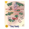 Logic List English: Multi-Syllable Words - Split into Individual Syllables: Vol. 2B - Paperback