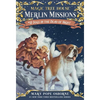 Dogs in the Dead of Night - Paperback
