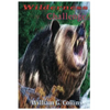 Wilderness Challenge - Paperback