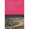 Influencia del Bien Comun de Tomas de Aquino En Tommaso Campanella - Paperback