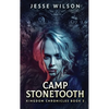 Camp Stonetooth - Hardcover