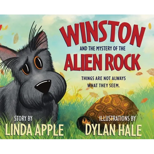 Winston and the Mystery of the Alien Rock - Hardcover