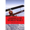 America in World War I: A History Just for Kids! - Paperback