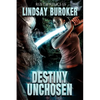 Destiny Unchosen: A Rust & Relics Novella - Paperback
