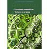 Cálculo vectorial libro 1- Parte IV: Ecuaciones paramétricas y Vectores en el plano - Paperback