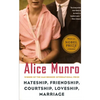 Hateship, Friendship, Courtship, Loveship, Marriage: Stories - Paperback