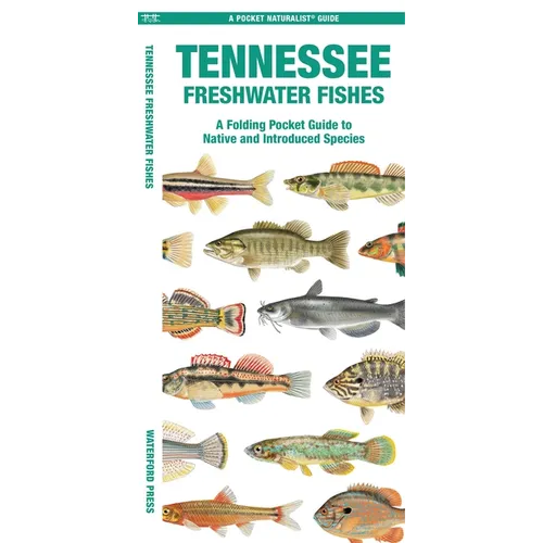 Tennessee Freshwater Fishes: A Folding Pocket Guide to Native and Introduced Species - Paperback