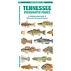 Tennessee Freshwater Fishes: A Folding Pocket Guide to Native and Introduced Species - Paperback