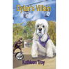 Dylan's Villain - Paperback