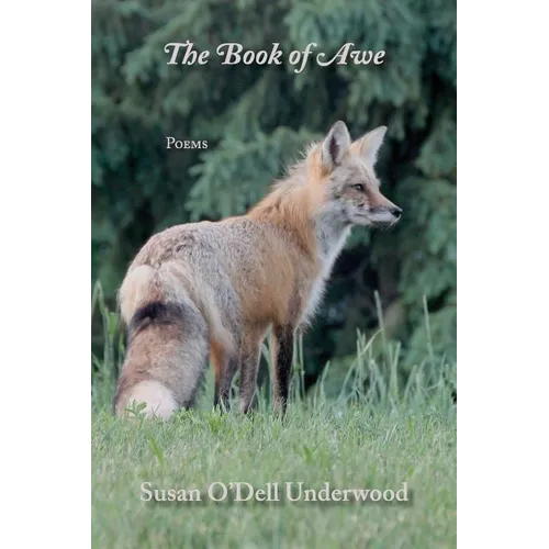 The Book of Awe - Paperback
