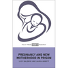Pregnancy and New Motherhood in Prison - Hardcover