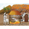 The Little Donkey With Hidden Destiny - Paperback