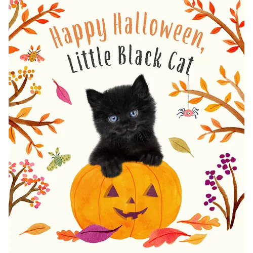 Happy Halloween, Little Black Cat: A Board Book - Board Book
