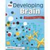 The Developing Brain: Birth to Age Eight - Paperback