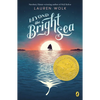 Beyond the Bright Sea - Paperback