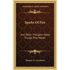 Sparks Of Fire: And Other Thoughts About Things That Matter - Hardcover