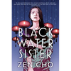 Black Water Sister - Paperback
