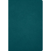 Rvr 1960 Biblia Deluxe, Verde Turquesa Piel Genuina - Leather