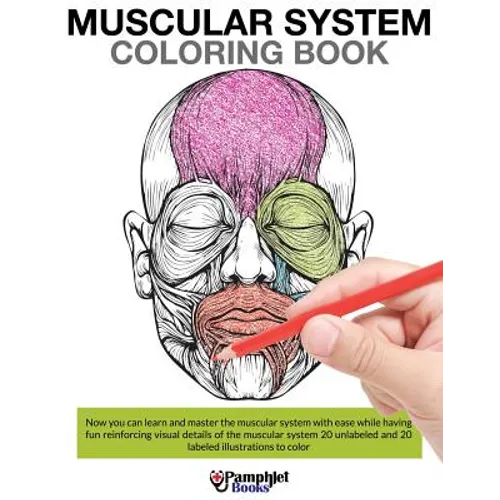 Muscular System Coloring Book - Paperback