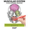 Muscular System Coloring Book - Paperback