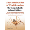 The Camel Spider or Wind Scorpion. the Complete Guide to Camel Spiders. All You Need to Know about Camel Spiders. Facts Including Size, Speed, Bite an - Paperback
