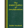 The Gospel-Mystery of Sanctification - Paperback