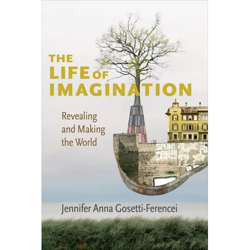 The Life of Imagination: Revealing and Making the World - Paperback