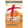 The Glory of Christ in the Old Testament: Volume 1: Genesis to Esther - Hardcover