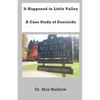 It Happened in Little Valley: A Case Study of Uxoricide - Paperback