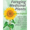 Foraging Medicinal Plants of New England: How to safely identify and prepare over 100 medicinal plants for herbal remedies - Paperback