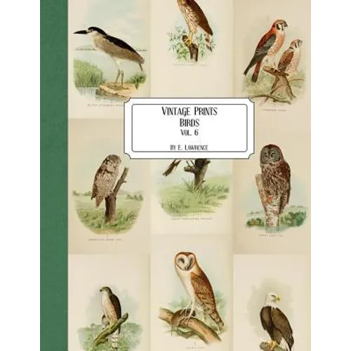 Vintage Prints: Birds: Vol. 6 - Paperback