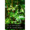 A Full Catechism Of The Catholic Religion - Paperback
