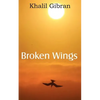Broken Wings - Paperback