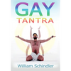 Gay Tantra 2nd edition hardcover - Hardcover