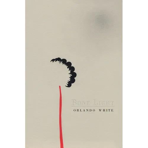 Bone Light - Paperback