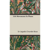 Life Movements in Plants - Hardcover