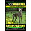 Italian Greyhound, Italian Greyhound Training AAA AKC: Think Like a Dog But Don't Eat Your Poop! Italian Greyhound Breed Expert Training: Here's EXACT - Paperback
