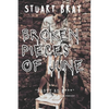 Broken pieces of June - Paperback
