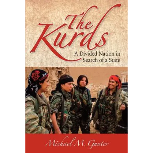 The Kurds: A Divided Nation in Search of a State - Paperback