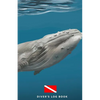 Diver's Log Book: scuba diving log book 100 dives - Paperback