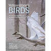 Yellowstone's Birds: Diversity and Abundance in the World's First National Park - Hardcover