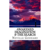 Awakened Imagination & The Search - Paperback