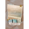 The Nature of Emotions - Paperback