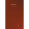 A Trip to Cuba - Hardcover