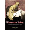 Unprotected Labor: Household Workers, Politics, and Middle-Class Reform in New York, 1870-1940 - Paperback